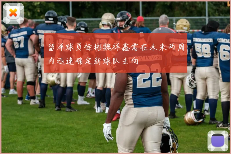 留洋球员徐彬魏祥鑫需在未来两周内迅速确定新球队去向